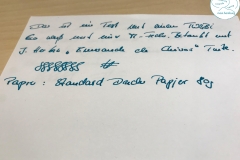 Fueller_TWSBI_ECO_whiteM-1
