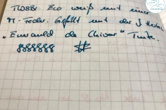 Fueller_TWSBI_ECO_whiteM-5